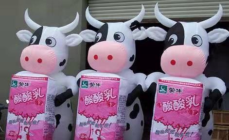 贵阳牛奶厂广告气模